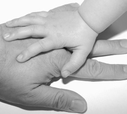 Baja Maternidad y Paternidad